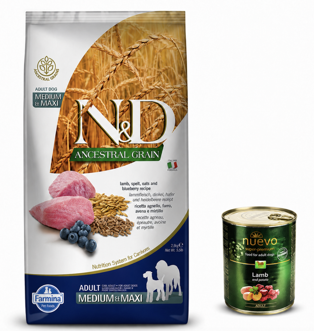 Набор корма для собак средних и крупных пород Farmina N&D Ancestral Grain с ягненком полбой овсом черникой 2,5 кг и консерва Nuevo 400 г