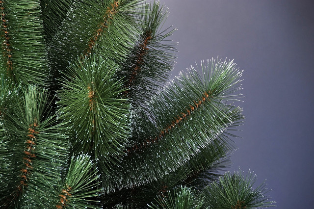 Искусственная сосна с напылением Заснеженная 3,0 м. - фото 2