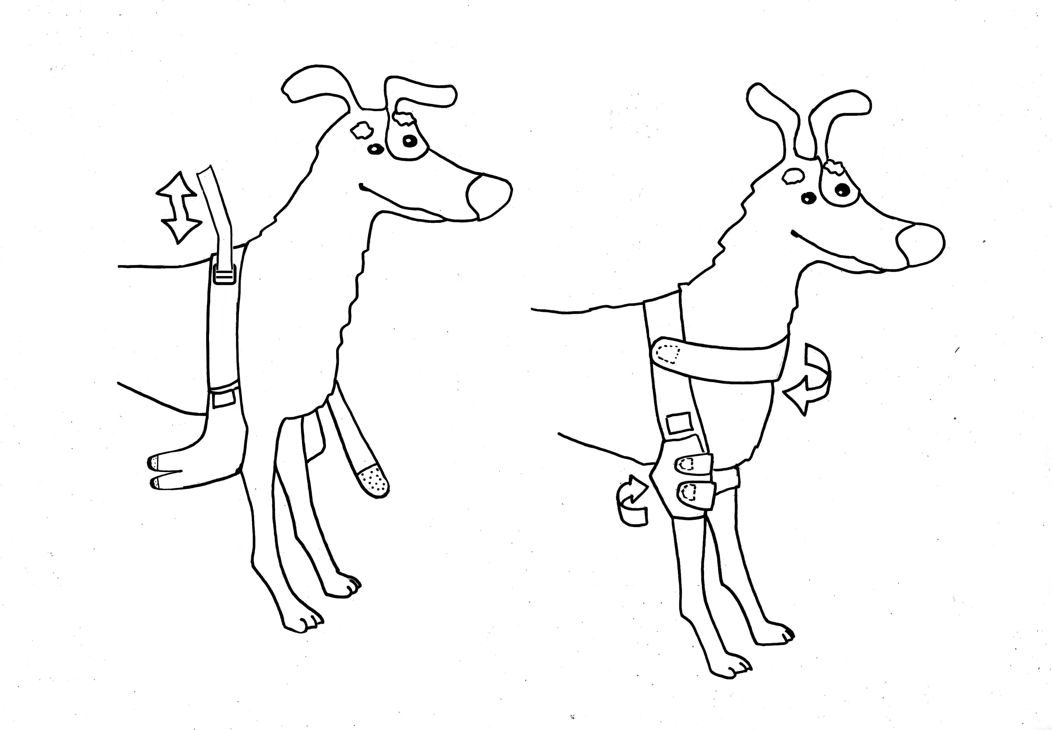Бандаж для собак Frakishtak поддержка локтевого сустава на обе лапы S Черный (28436752) - фото 9 Бандаж для собак Frakishtak поддержка локтевого сустава на обе лапы S Черный (28436752) - фото 9