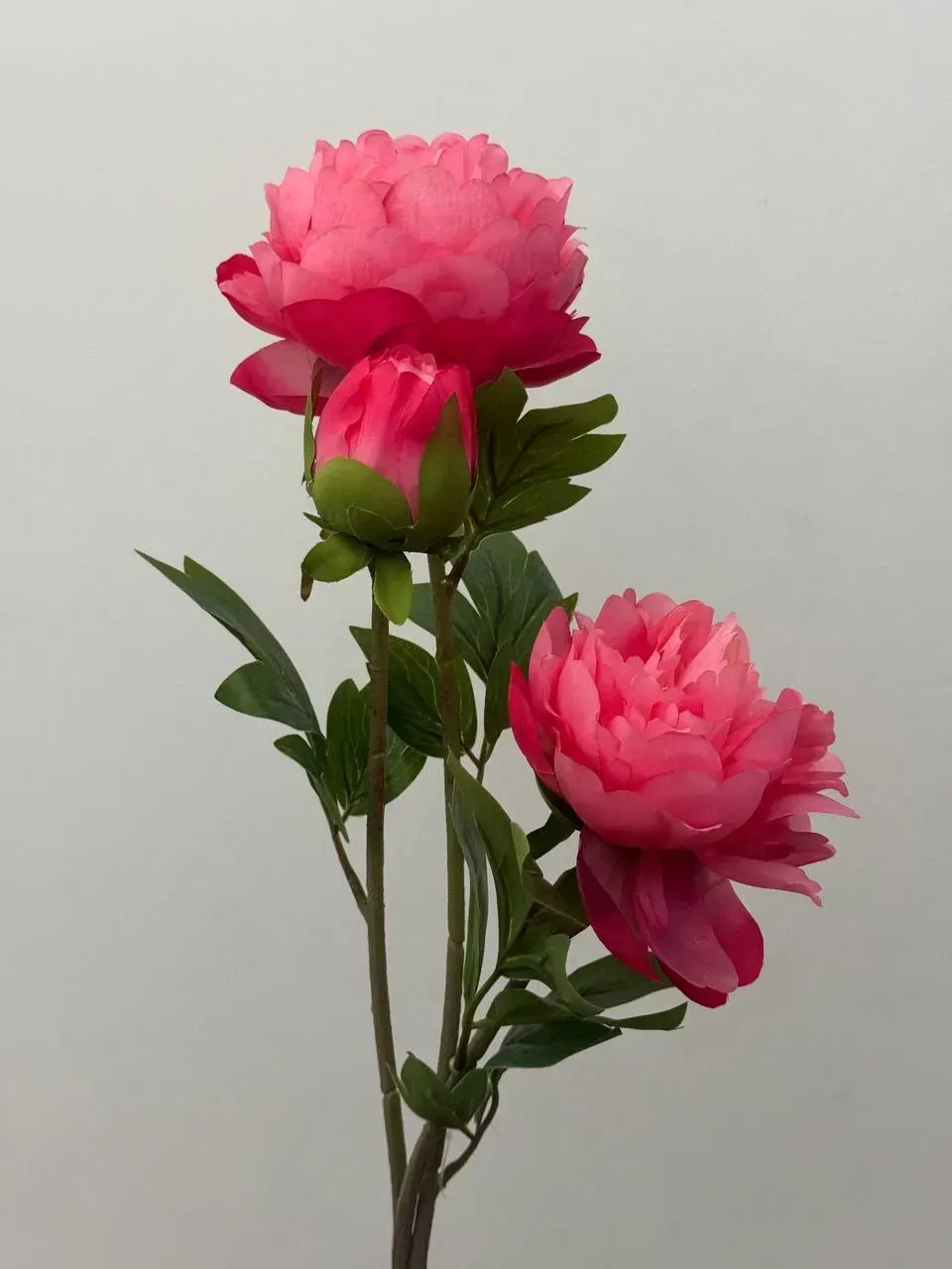 Штучна текстильна півонія 2 квітки 1 бутон на гілці 78 см Малиновий (P0028)