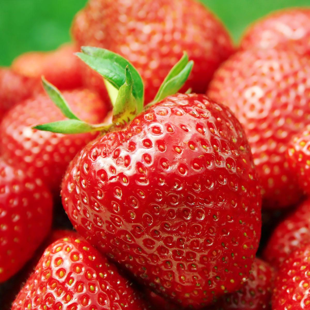 Саженец клубники Darselect средняя (1418008920)