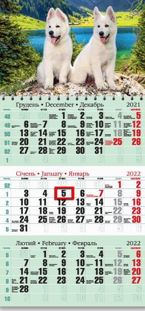 Календарь настенный квартальный МАРКО на 2022 год офисный 2 Щенята (офіс2-14 2022)