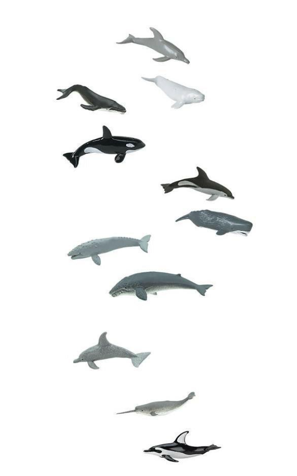 Набор фигурок Safari Ltd Киты и Дельфины в тубусе (23193956)