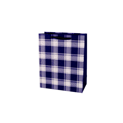 Подарочный пакет Stenson Checkered 18х23х10 см Blue (R94995-S)