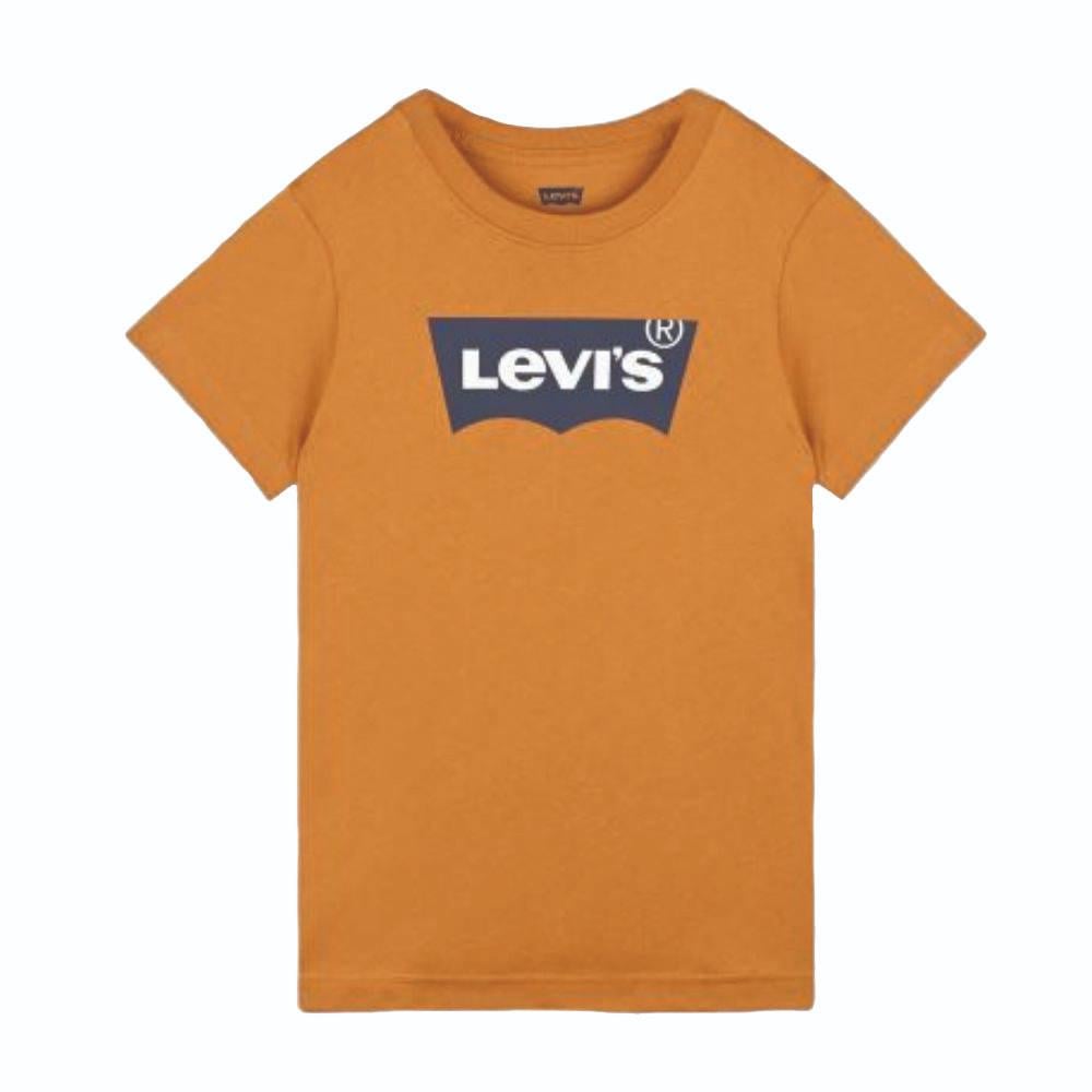 Футболка Levi's 9E8157-N6B 164 см (26467-21579)