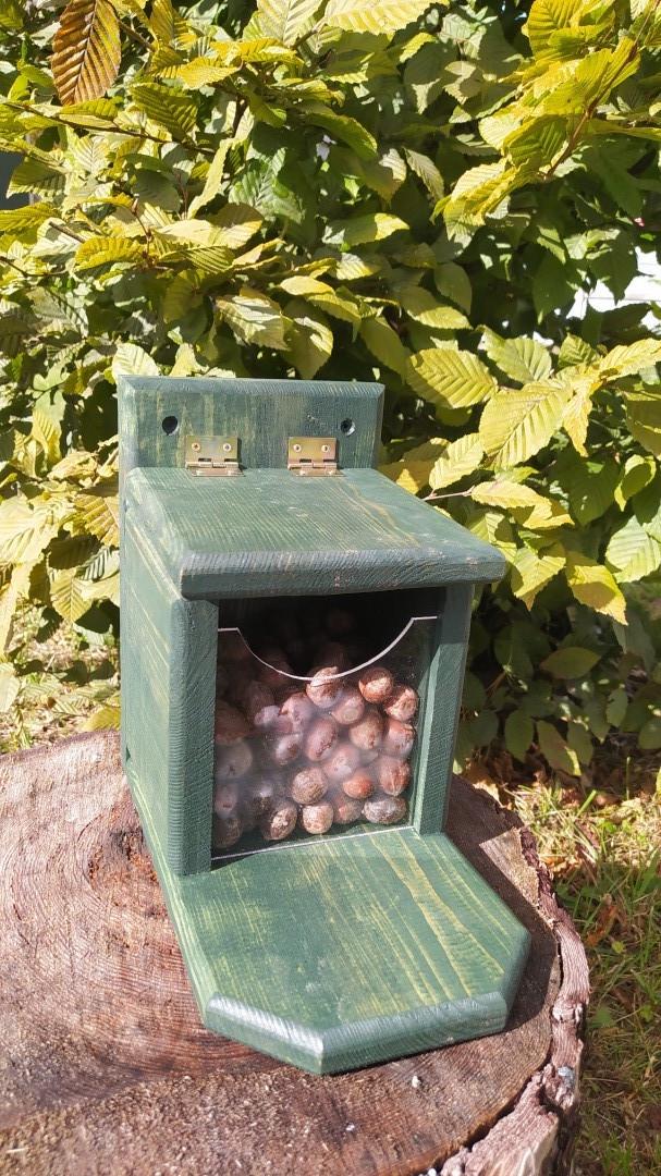 Кормушка для белок Сюрприз из древесины Оликовый 27х25х16 см - фото 6 Кормушка для белок Сюрприз из древесины Оликовый 27х25х16 см - фото 6