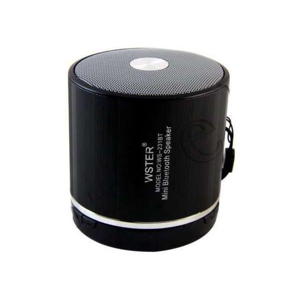 Портативная Bluetooth колонка WSTER WS-231 FM MP3 USB