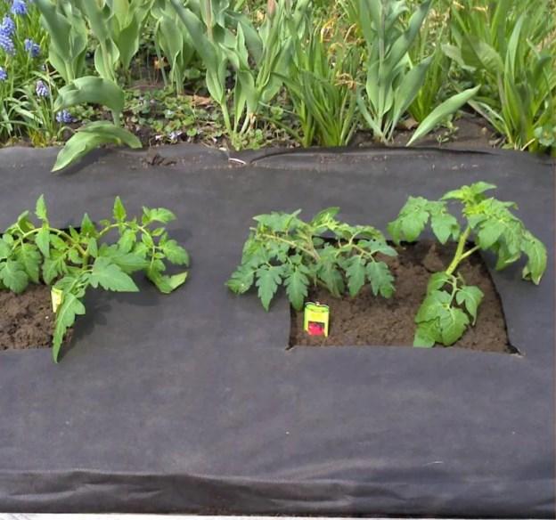 Геотекстиль GARDEN FLORA П-110 3,2x25 м Чорний (25244719) - фото 3 Геотекстиль GARDEN FLORA П-110 3,2x25 м Чорний (25244719) - фото 3