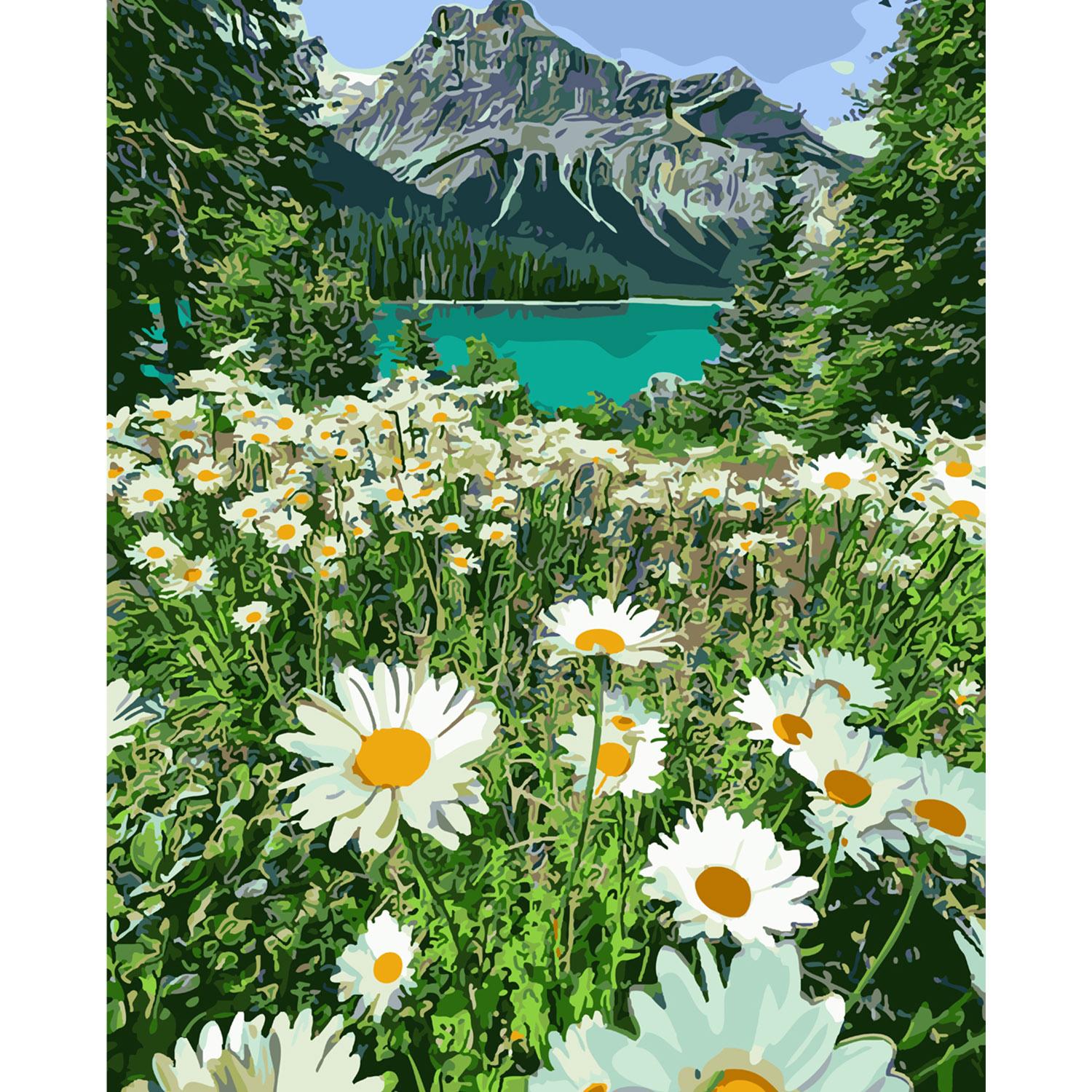 Картина по номерам Strateg Ромашки в горах 40х50 см (SY6068)