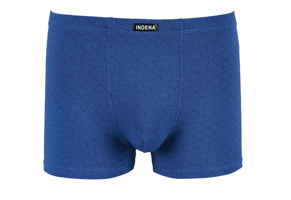 Мужские боксеры Бамбук INDENA 4XL р. 52-54 2 шт. Синий (205313) Мужские боксеры Бамбук INDENA 4XL р. 52-54 2 шт. Синий (205313)