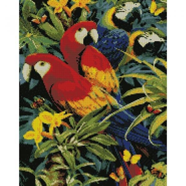 Алмазная мозаика Идейка Разноцветные попугайчики 40х50 см (AMO7029-mt)