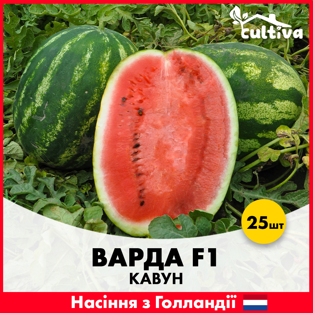 Семена арбуза Hazera Варда F1 25 шт. (00279-25)