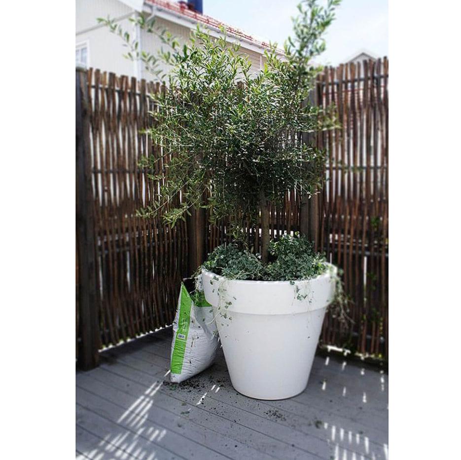 Вазон бетонний Борміо вуличний 350x430 мм 25 кг 25 л (BOR3) - фото 4 Вазон бетонний Борміо вуличний 350x430 мм 25 кг 25 л (BOR3) - фото 4