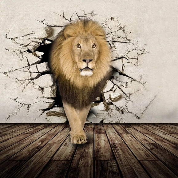 Алмазная вышивка Diy Сквозь стены 30х30 см