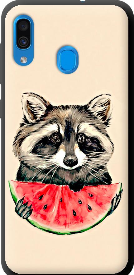 Чехол на Samsung Galaxy A30 2019 A305F Енотик с арбузом (4605b-1670-42517)