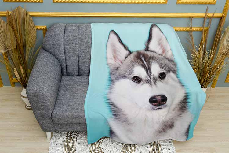 Плед Big malamute плюш однослойный 135х150 см (113467)