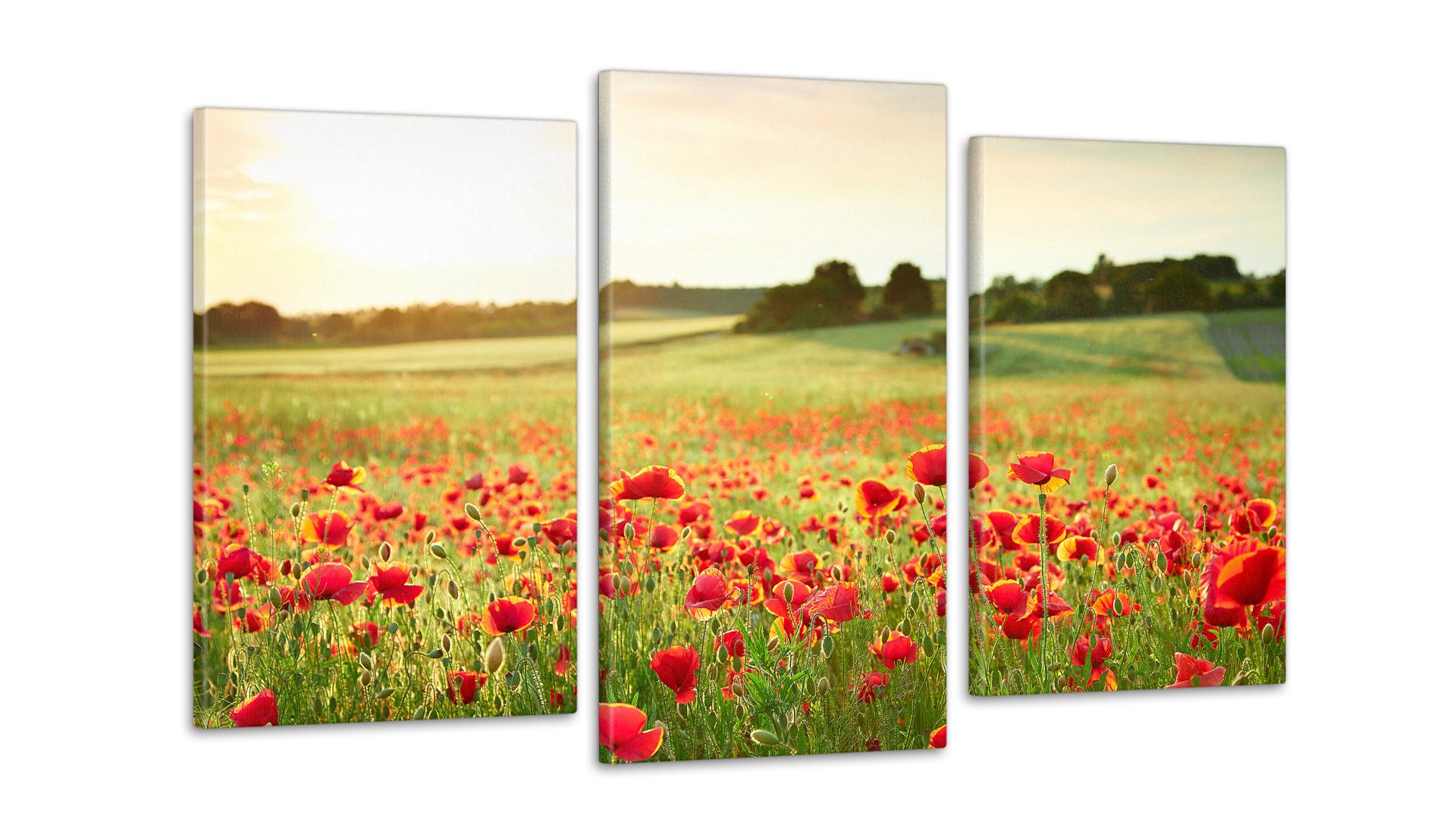 Модульная картина Поле Цветов 53x100 см (Art-187_3)