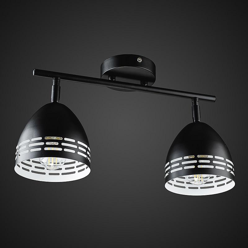 Потолочная люстра Light House DL-17302/2 Черный