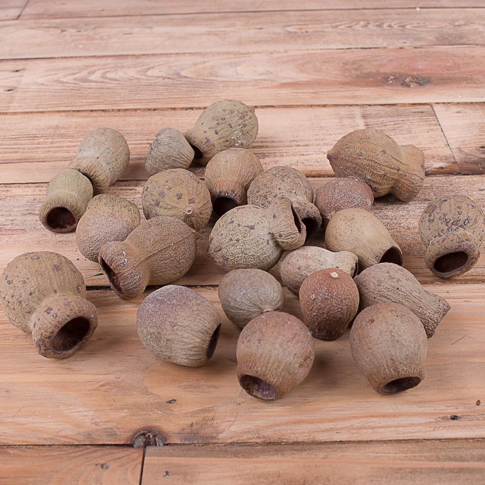 Сухоцвет bellgums 250 г Коричневый (18790