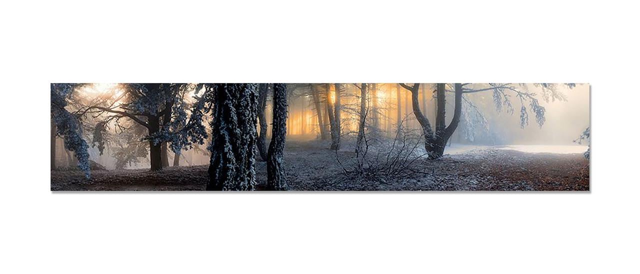 Фартук кухонный Туманный лес деревья из самоклеющейся виниловой пленки 60х300 см Серый Фартук кухонный Туманный лес деревья из самоклеющейся виниловой пленки 60х300 см Серый