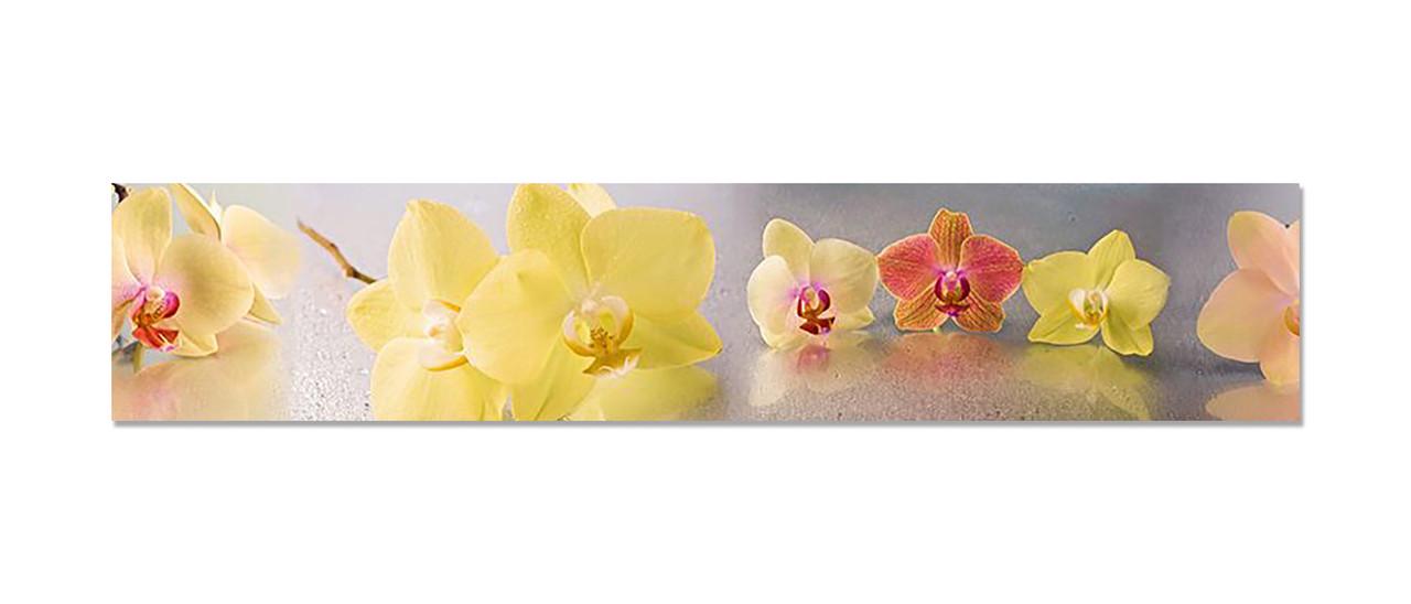 Фартук кухонный Пастельные орхидеи 60х300 см Желтый Фартук кухонный Пастельные орхидеи 60х300 см Желтый