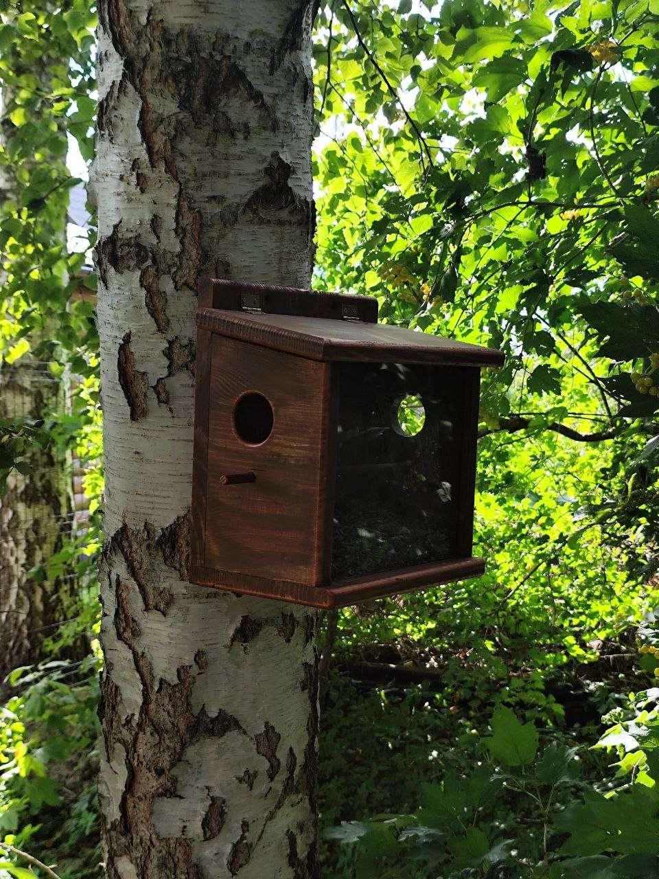 Кормушка для птиц Запутанка бункерного типа из сосновой древесины 30х30х17 см Янтарный - фото 7 Кормушка для птиц Запутанка бункерного типа из сосновой древесины 30х30х17 см Янтарный - фото 7
