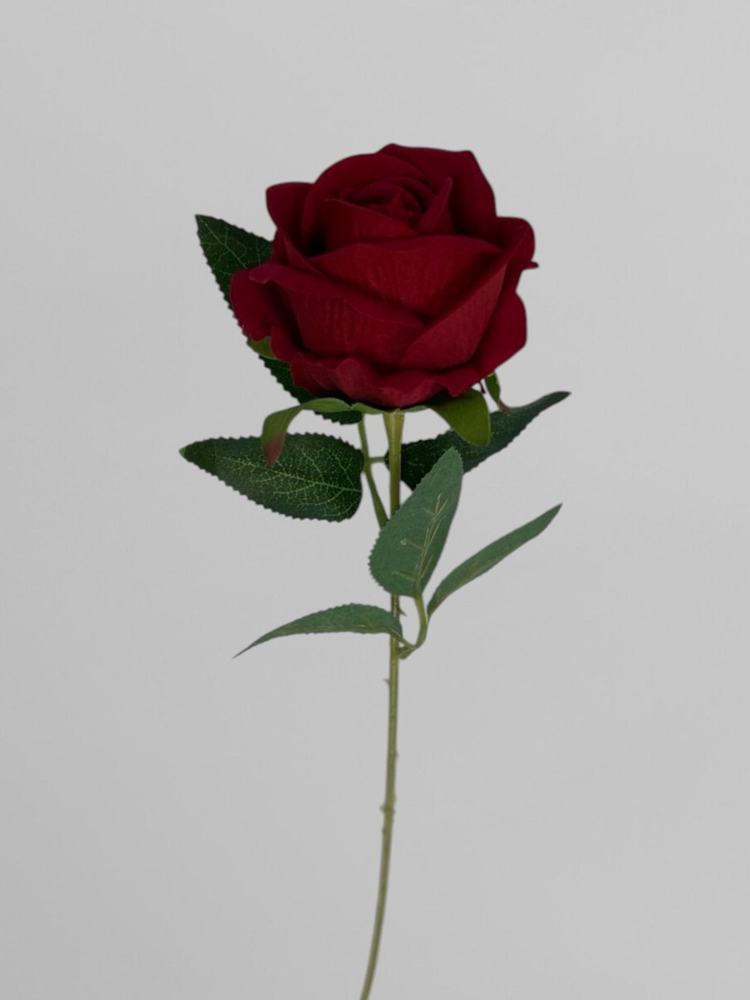 Роза на стебле 51 см Красный (К02085) - фото 1 Роза на стебле 51 см Красный (К02085) - фото 1