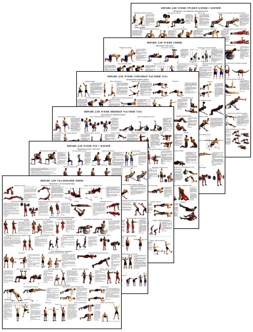 Плакат упражнения для мышц всех частей тела 6 шт. 67х86 см