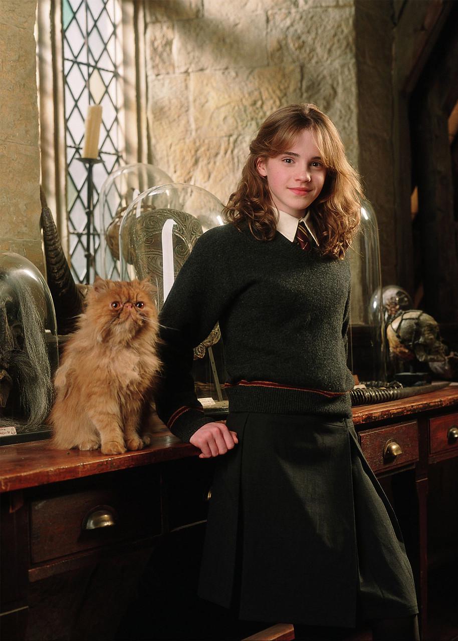 Картина GeekLand Harry Potter Гермиона (HP 09.068)