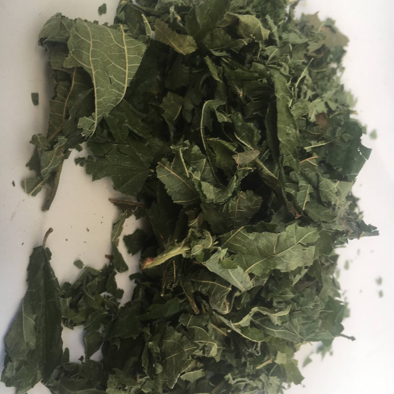 Листья лещины обыкновенной Карпаты 50 г (629063e915d6fa4d0b501dd3) - фото 2 Листья лещины обыкновенной Карпаты 50 г (629063e915d6fa4d0b501dd3) - фото 2