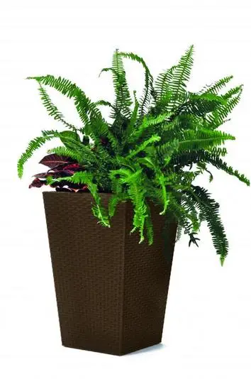 Горшок цветочный Keter Rattan Planter прямоугольный S 23,6 л (CNT00012222)