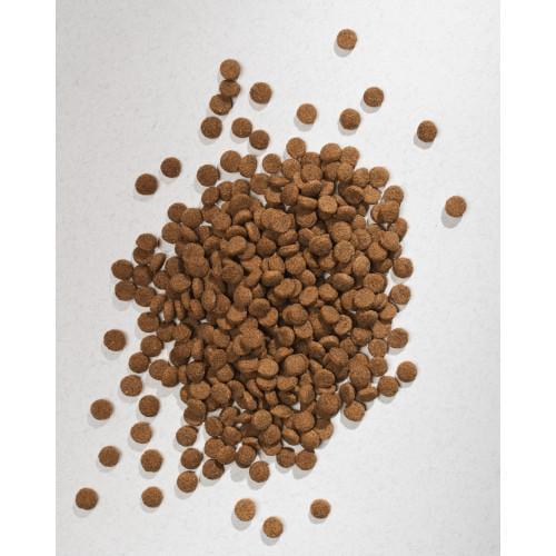 Корм для собак сухой Half&Half всех пород с говядиной 2 кг - фото 5 Корм для собак сухой Half&Half всех пород с говядиной 2 кг - фото 5