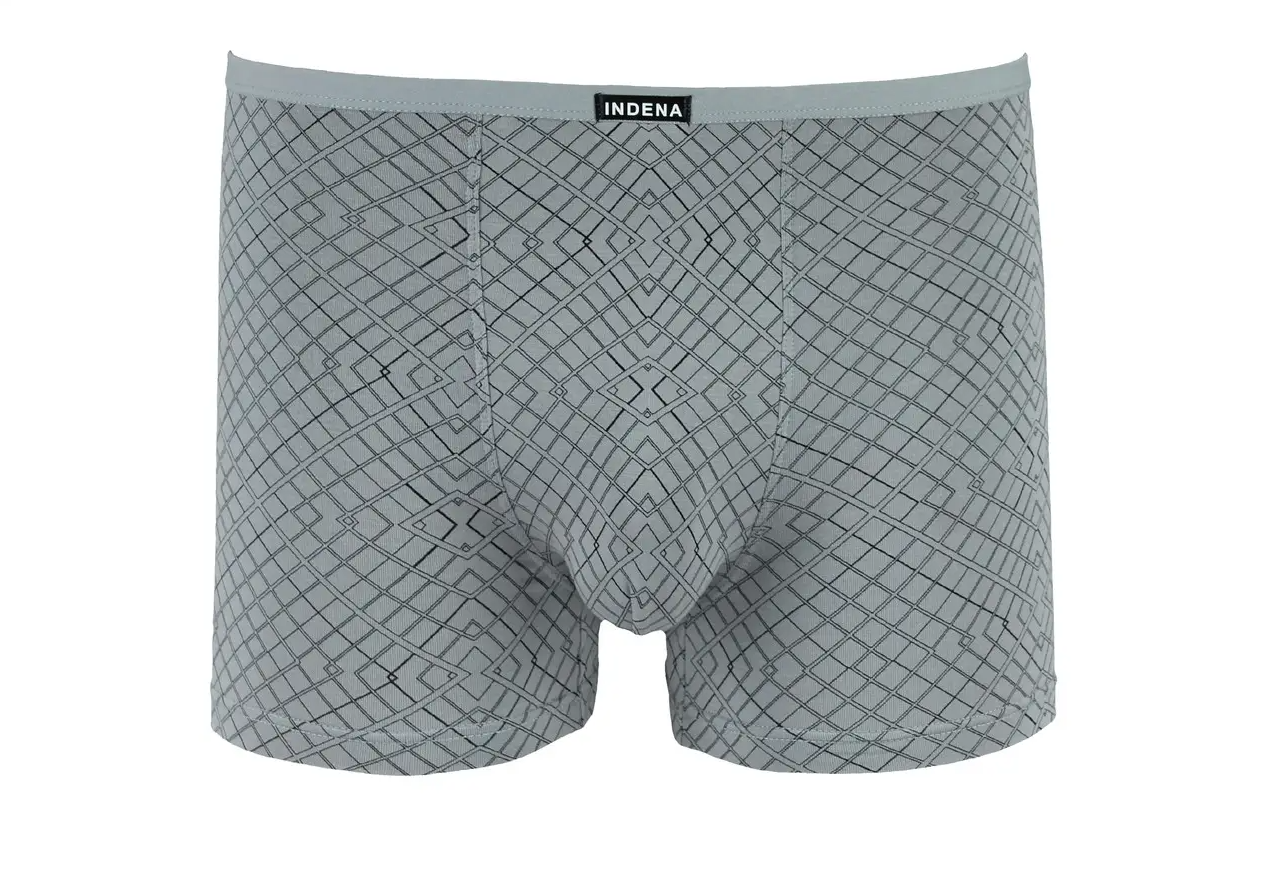 Мужские боксеры Бамбук INDENA XL р. 46-48 2 шт. Светло-серый (205330)