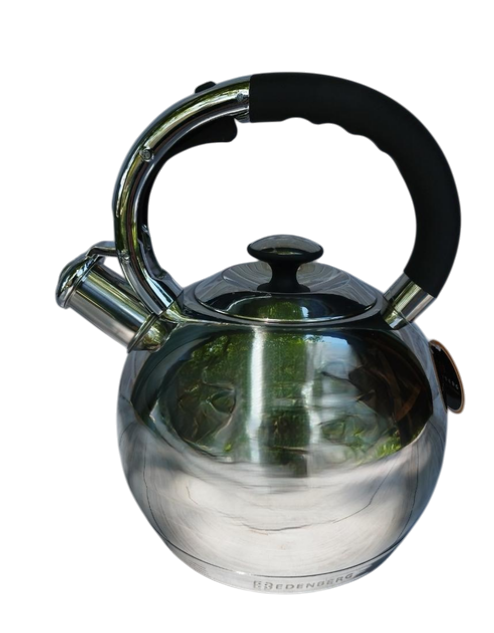 Чайник из нержавеющей стали Edenberg со свистком 3,0 л (EB-7006)