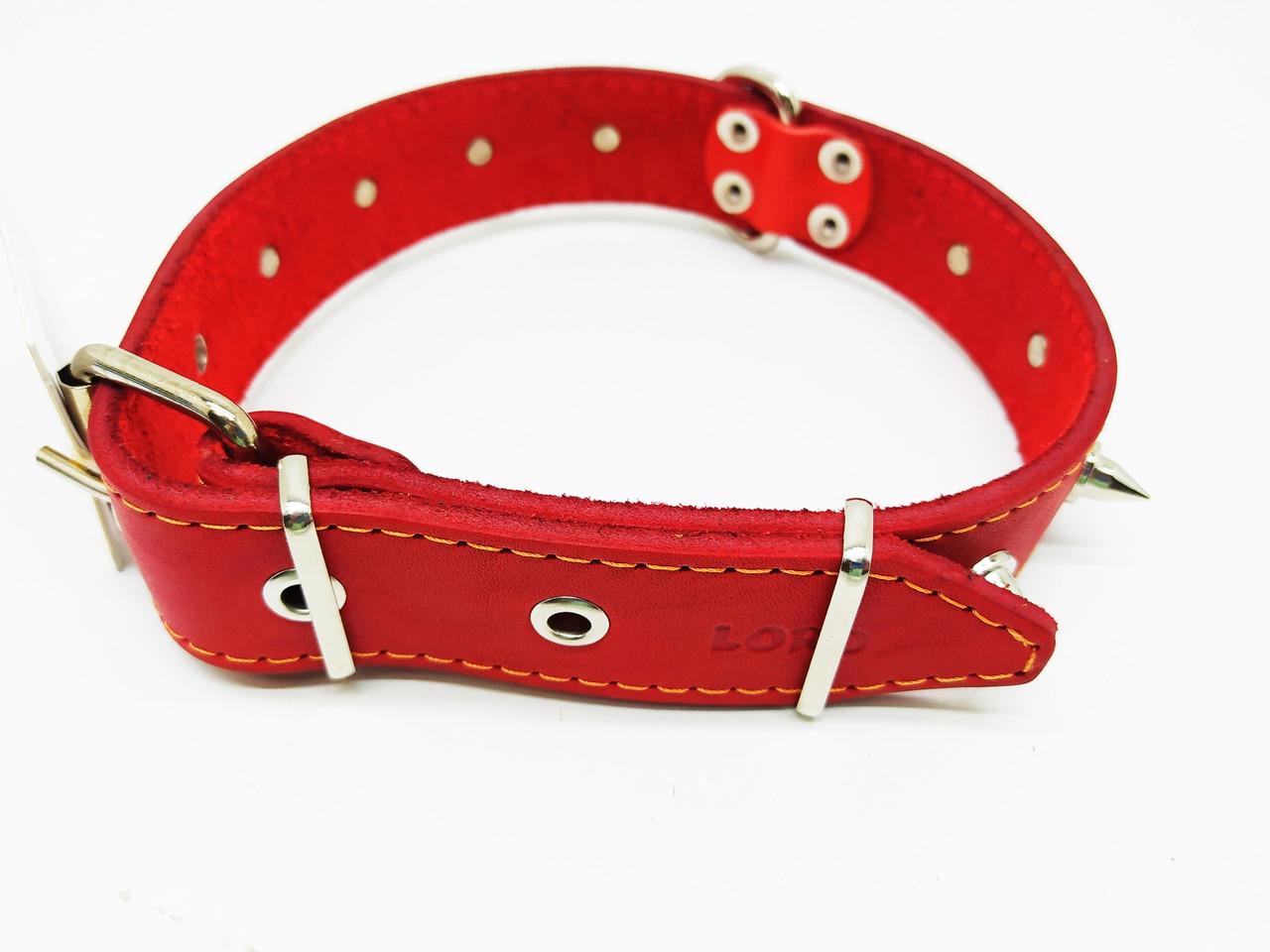 Ошейник Лорі с шипами 2,5/36-45 см Красный (ф123) - фото 2 Ошейник Лорі с шипами 2,5/36-45 см Красный (ф123) - фото 2