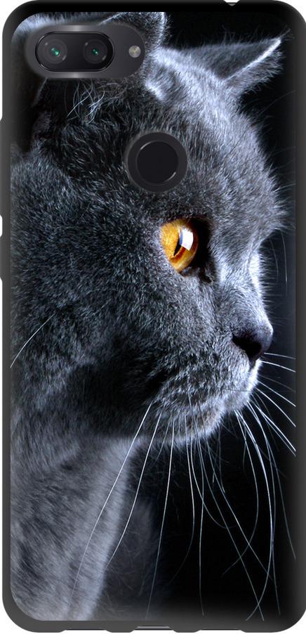 Чехол на Xiaomi Mi 8 Lite Красивый кот (3038b-1585-42517)