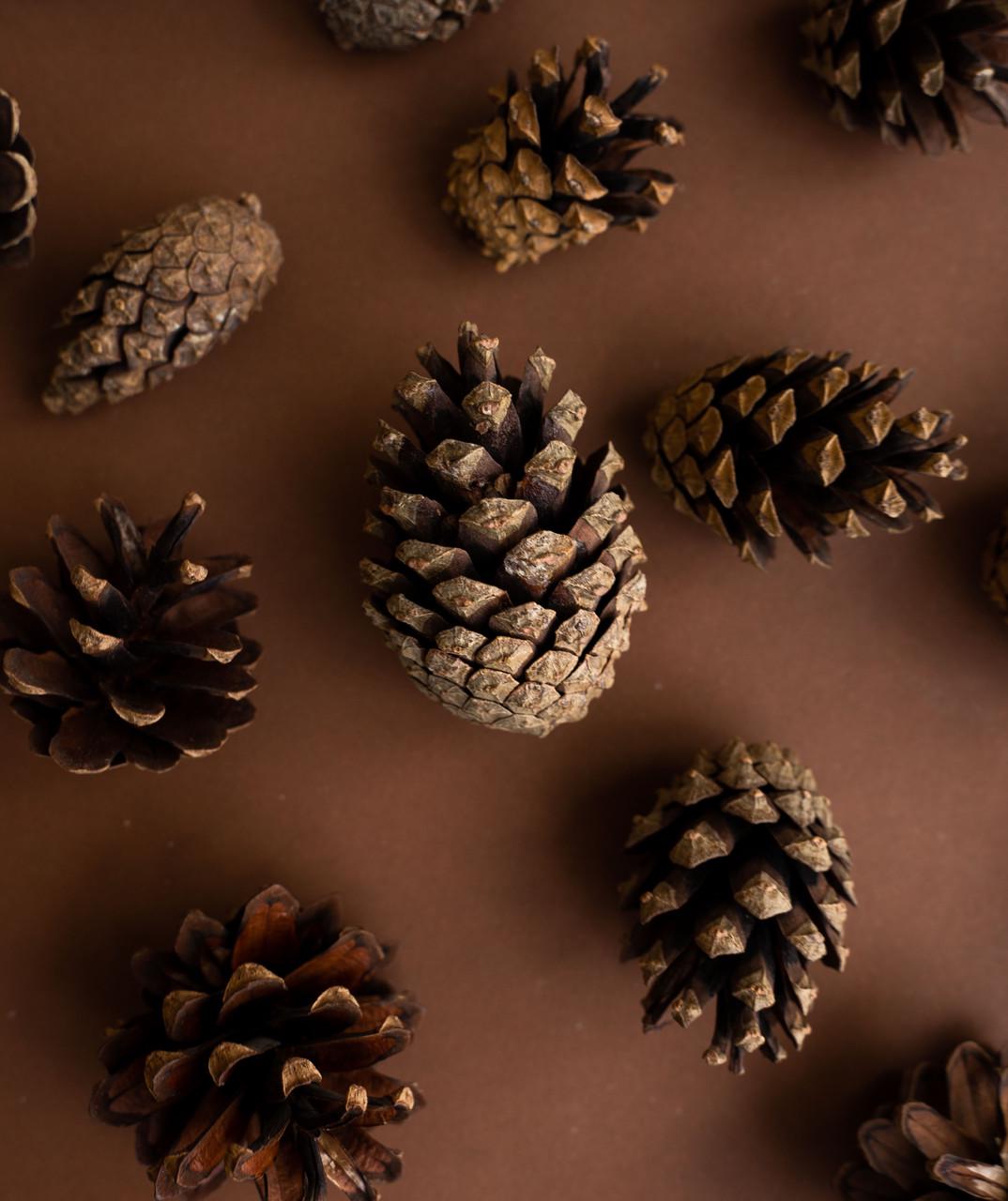 Шишки соснові декоративні 500 г (PC-S) - фото 5 Шишки соснові декоративні 500 г (PC-S) - фото 5