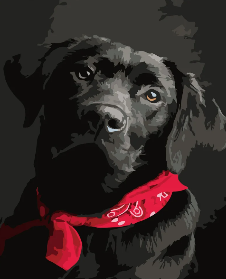 Картина по номерам Strateg Черный лабрадор 40x50 см (DY061)