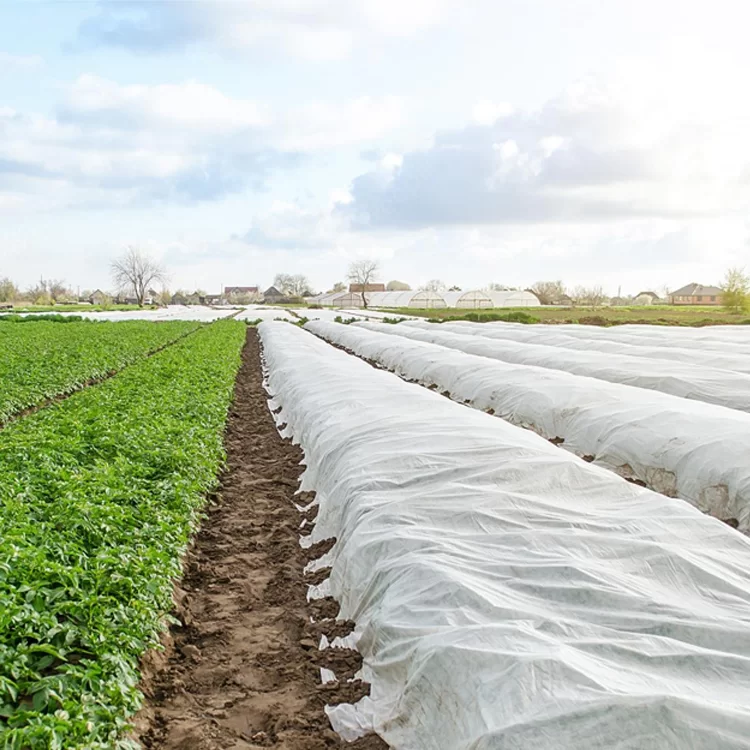 Агроволокно с укрепленным краем Agreen 23 г/м² 8,5х50 м Белый (19609) - фото 5