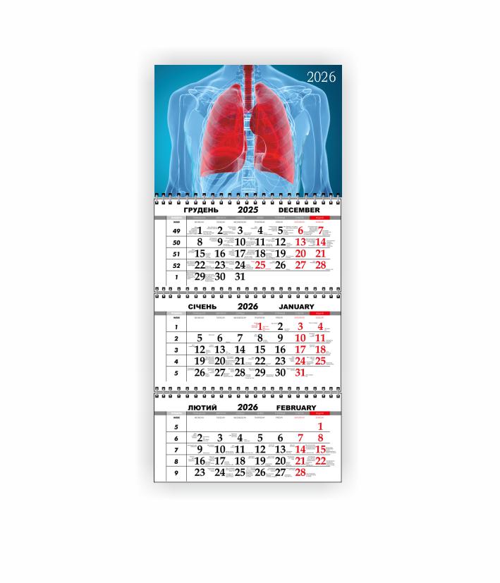 Календарь настенный квартальный Vivay Медицинский на 2026 год (31064191) Календарь настенный квартальный Vivay Медицинский на 2026 год (31064191)