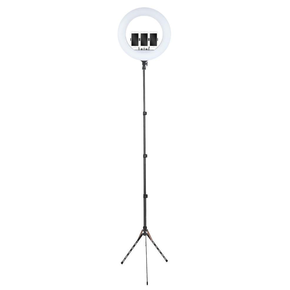 Кольцевая лампа AC Prof LED RL-21 54 см со штативом 270 см (2299012461)