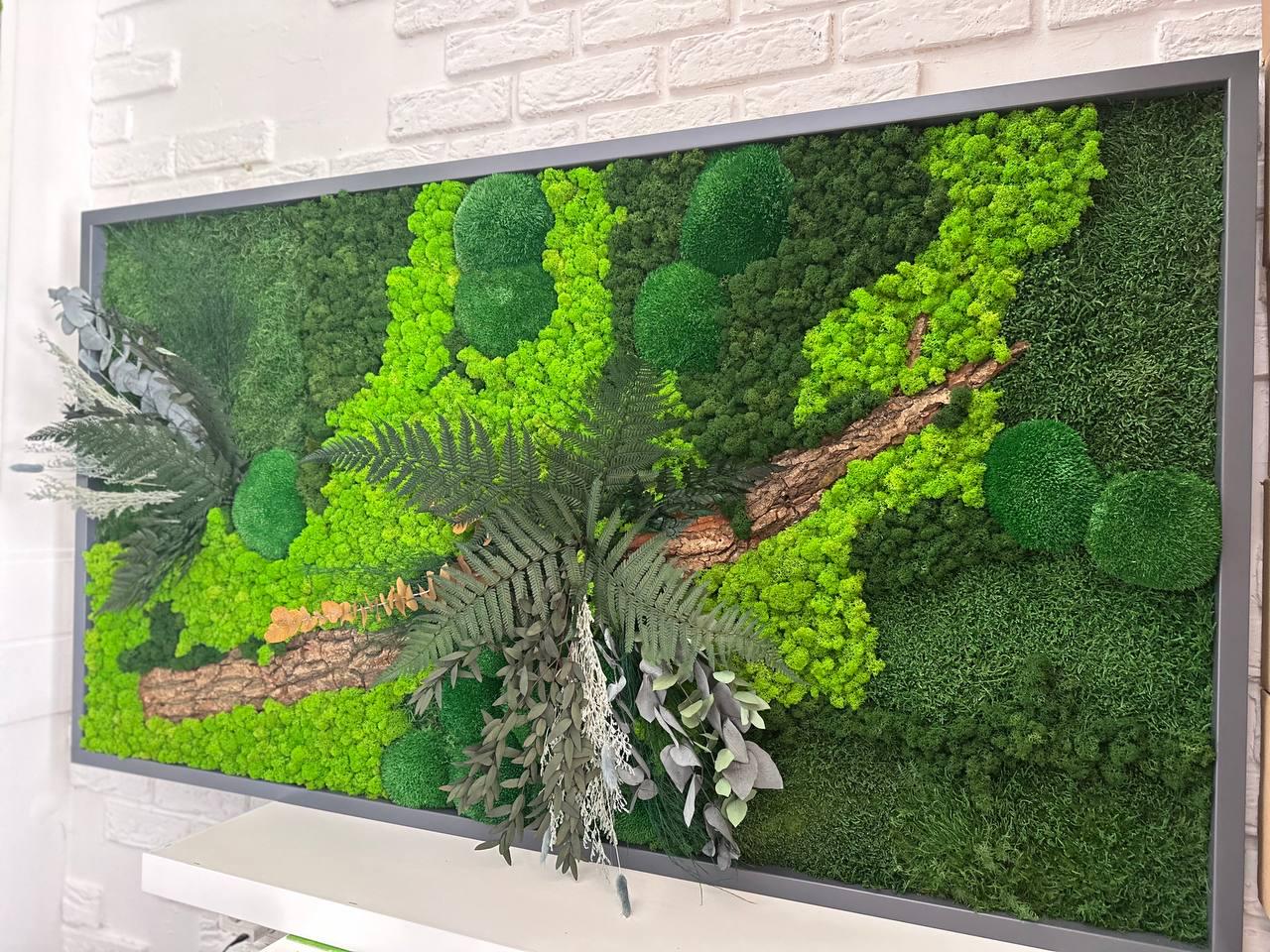 Картина из мха Плоский мох и Растения 838 162x90 см (838-162-90) Картина из мха Плоский мох и Растения 838 162x90 см (838-162-90)