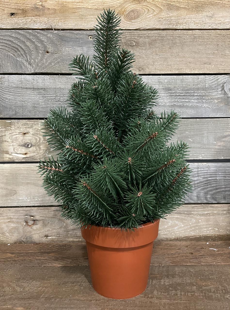 Ялинка лита SGH Premium у горщику 50 см Зелений Ялинка лита SGH Premium у горщику 50 см Зелений