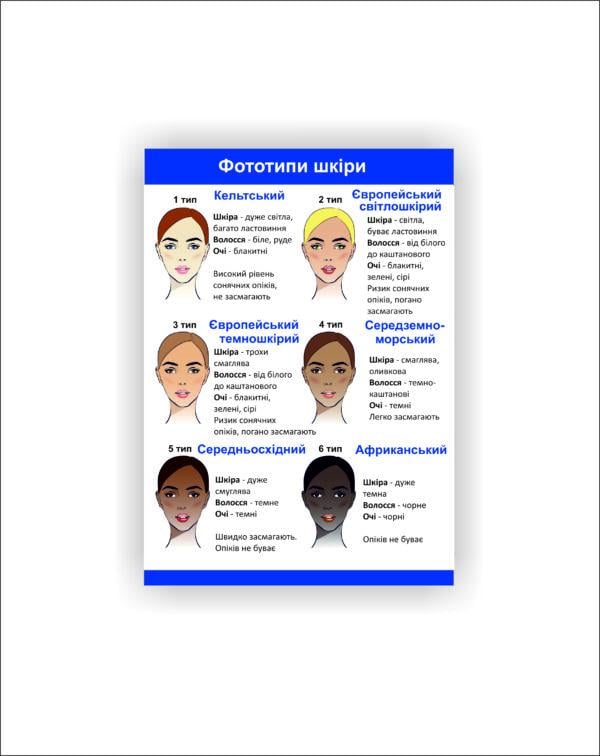 Плакат Vivay Фототипы кожи 30х40 см (25634241)
