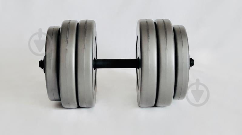 Гантель 1х25 кг Наборная WCG Grey