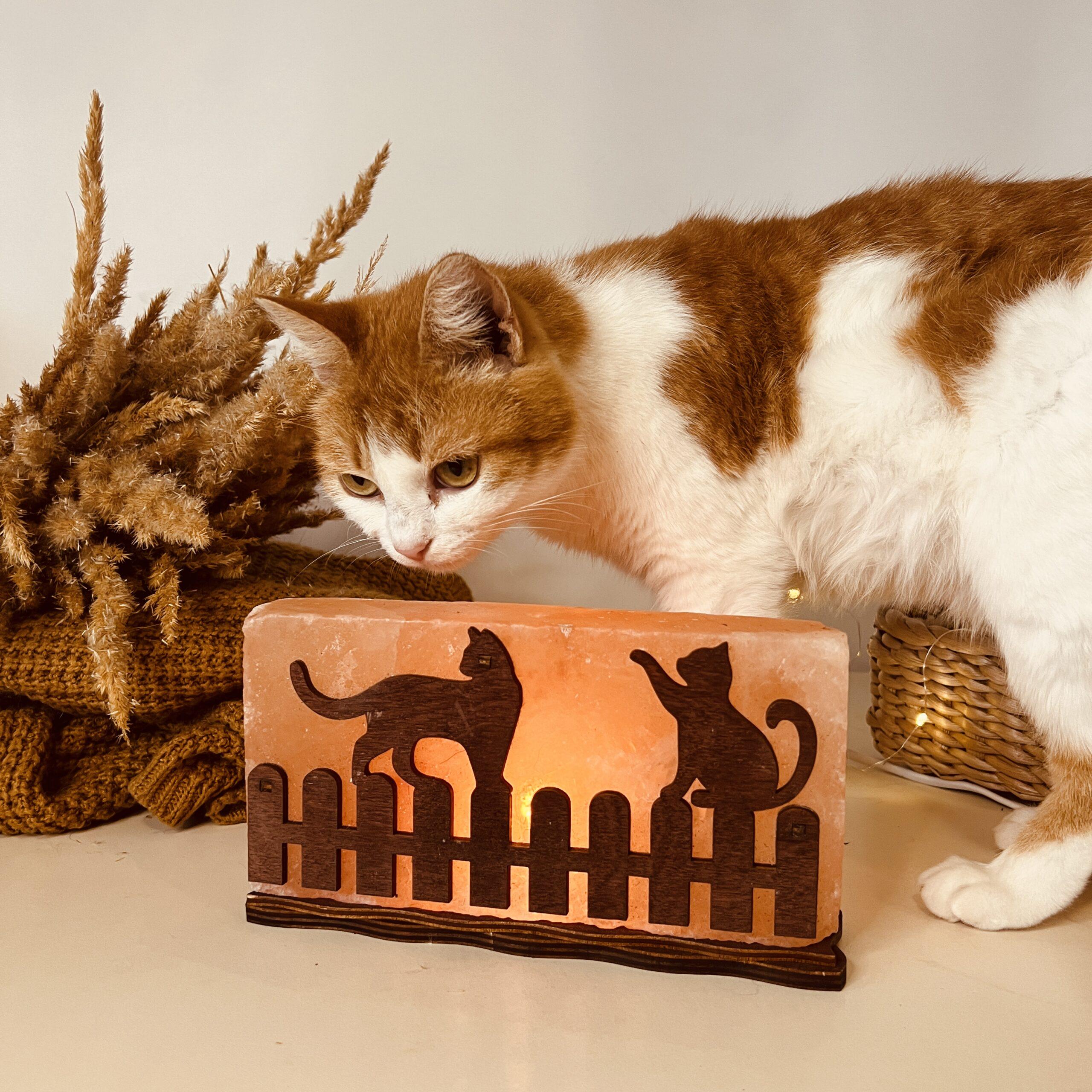 Соляна лампа декоративна Himalayan Коти на паркані 1 кг (29909030) - фото 4