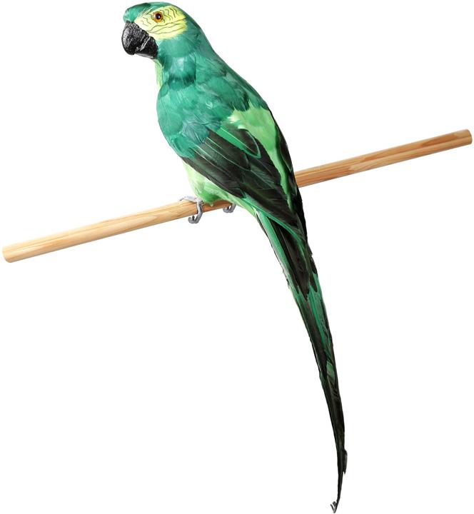 Декоративная игрушка Попугай 70 см Зеленый (BD-743-505)