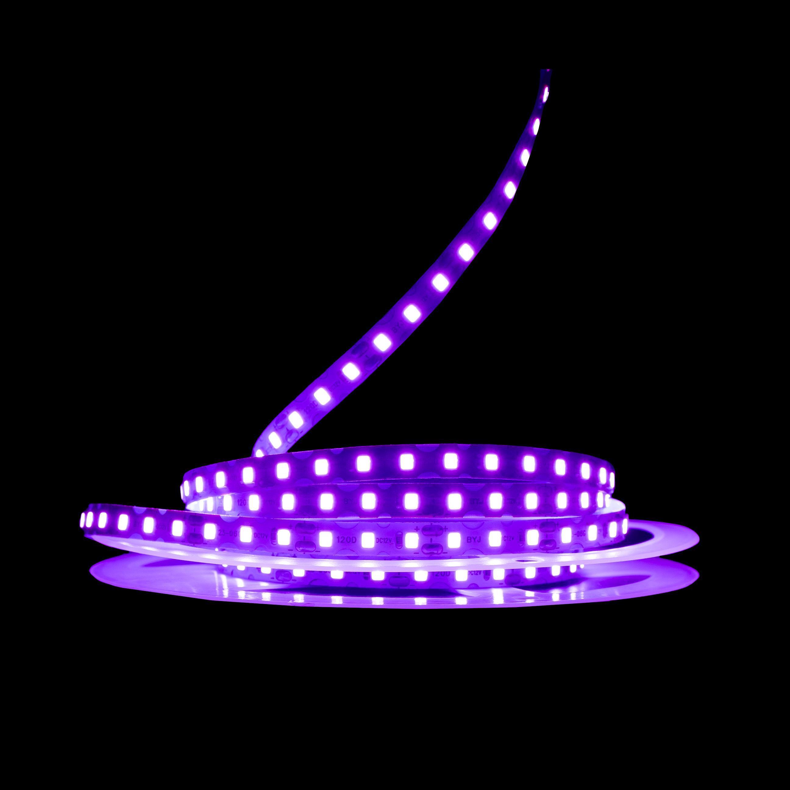 Светодиодная лента Prolum IP20 2835/120 S-TYPE Series-S 12V Фиолетовый (28522735) - фото 2 Светодиодная лента Prolum IP20 2835/120 S-TYPE Series-S 12V Фиолетовый (28522735) - фото 2