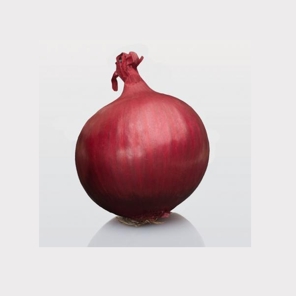 Лук севок BroerB.V. Электрик 100 г (1881984403)