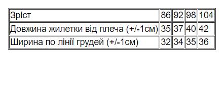 Жилетка для мальчика Носи свое демисезон 86 см Бордовый/Чернильно-синий (25851-v0) - фото 3